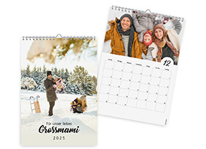 Kalender 207 «Terminplaner»