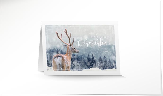 Weihnachtskarte 8915 verschneite Landschaft