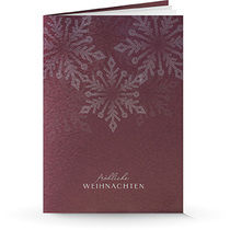 Weihnachtskarte 9602 Schneestern Silber