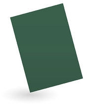 A4 Karton 240 g/m² cactus green