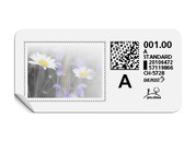 A-Post-Briefmarke «Blumenwiese»