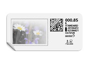 B-Post-Briefmarke «Blumenwiese»