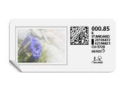 B-Post-Briefmarke «Enzian»