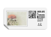 B-Post-Briefmarke «Mohn»