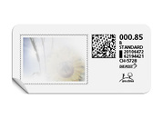 B-Post-Briefmarke «Sonnenblume»
