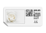 B-Post-Briefmarke «Weisse Rose»