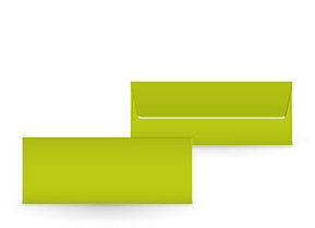 Couvert lime tonic 229 x 90 C4190.15