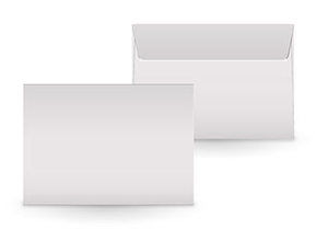 Couvert ice silver C5 C4744/5