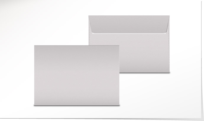 Couvert ice silver C5 C4744/5