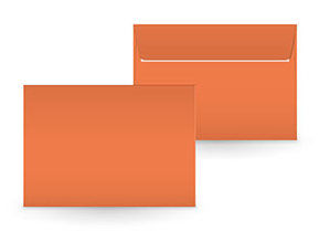 Couvert vulkanorange C5 C5266/5