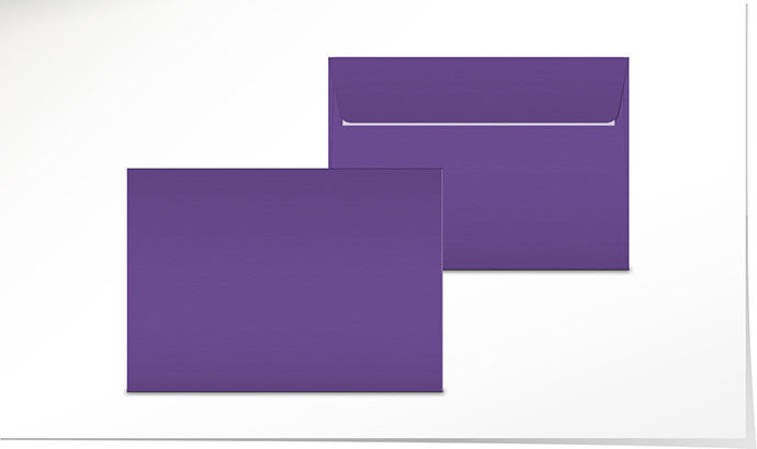Couvert amethyst C5 C5270/5