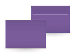Couvert amethyst C5 C5270/5