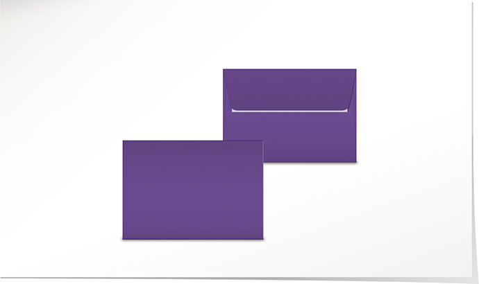 Couvert amethyst C6 C5270