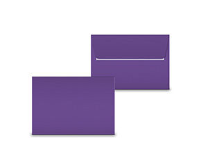 Couvert amethyst C6 C5270