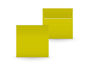 Couvert absynthe 155 x 155 C5504 - Solange Vorrat