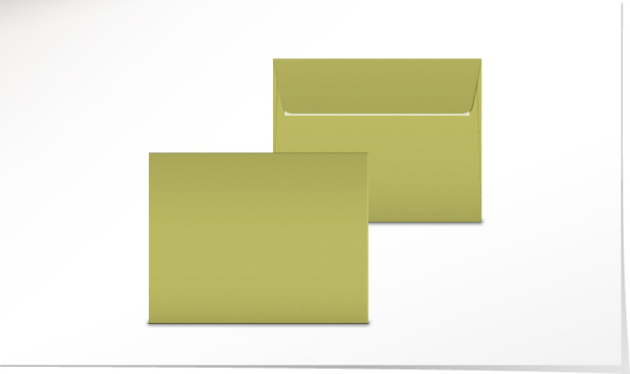 Couvert lime 190 x 150 C5743