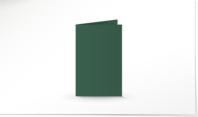 115 x 180 Doppelkarte cactus green K4914/7 - Solange Vorrat