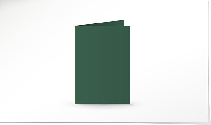 A6 Doppelkarte cactus green K4914 - Solange Vorrat
