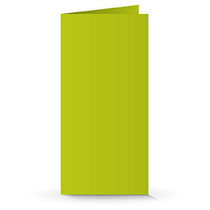 A6/5 Doppelkarte lime tonic