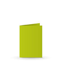 A7 Doppelkarte lime tonic