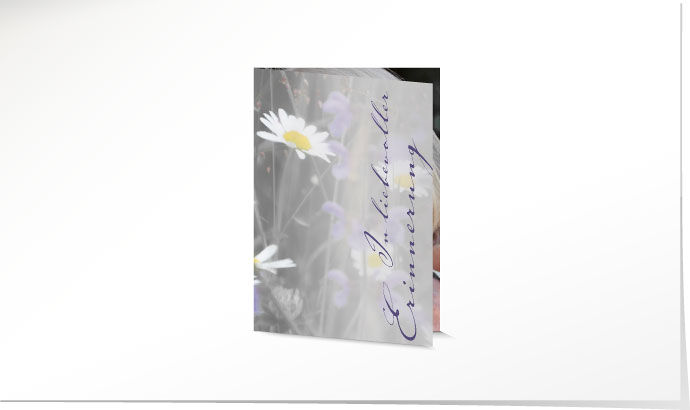 Leidbild Blumenwiese Leidbild