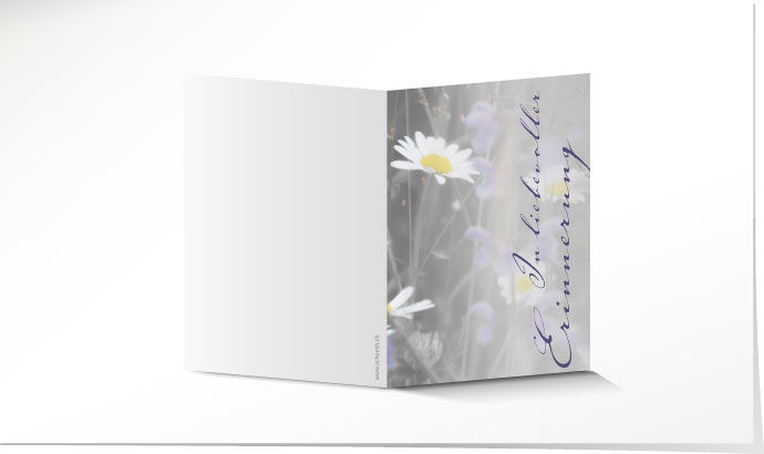 Leidbild Blumenwiese Leidbild