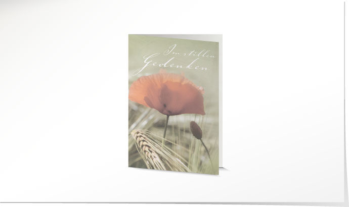 Leidbild Mohn Leidbild