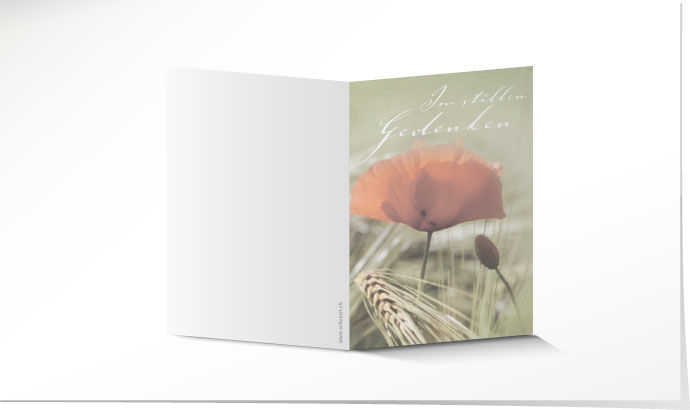 Leidbild Mohn Leidbild