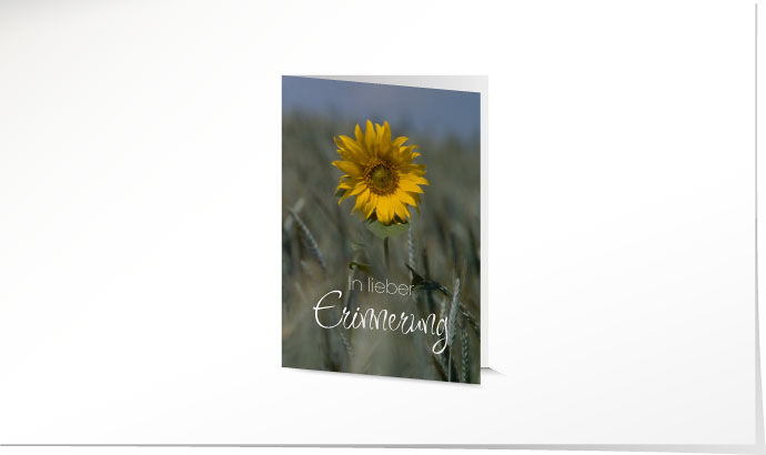 Leidbild Sonnenblume Leidbild