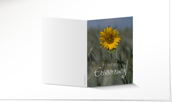 Leidbild Sonnenblume Leidbild
