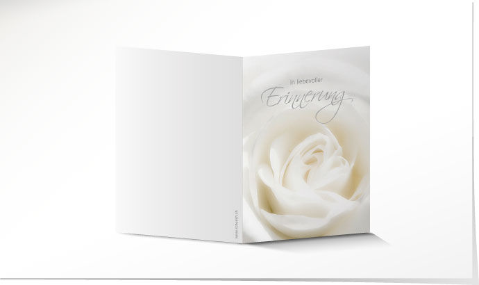 Leidbild Weisse Rose Leidbild