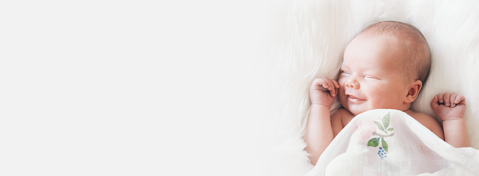 SEO Banner